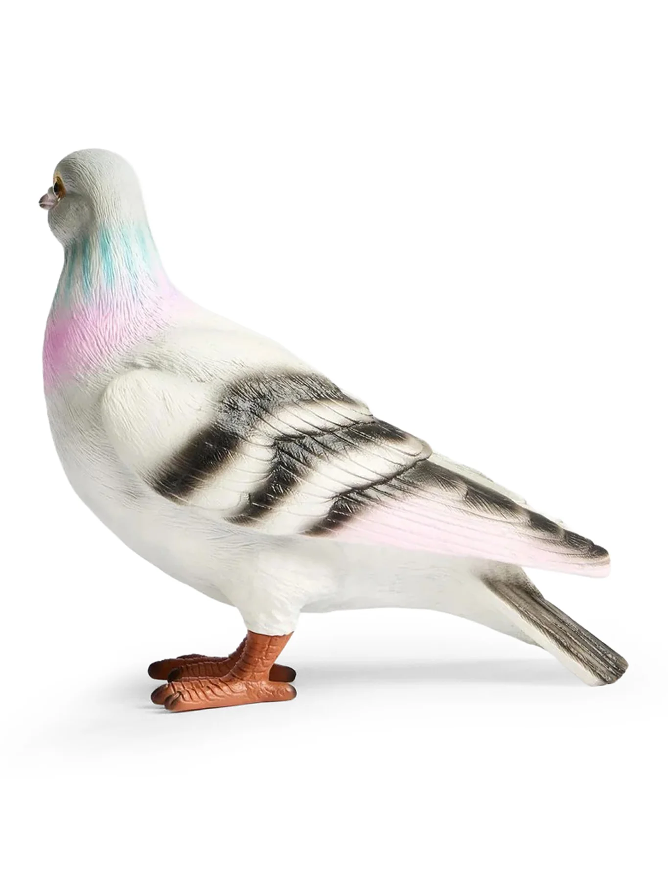 PIGEON CLUTCH - Image 3