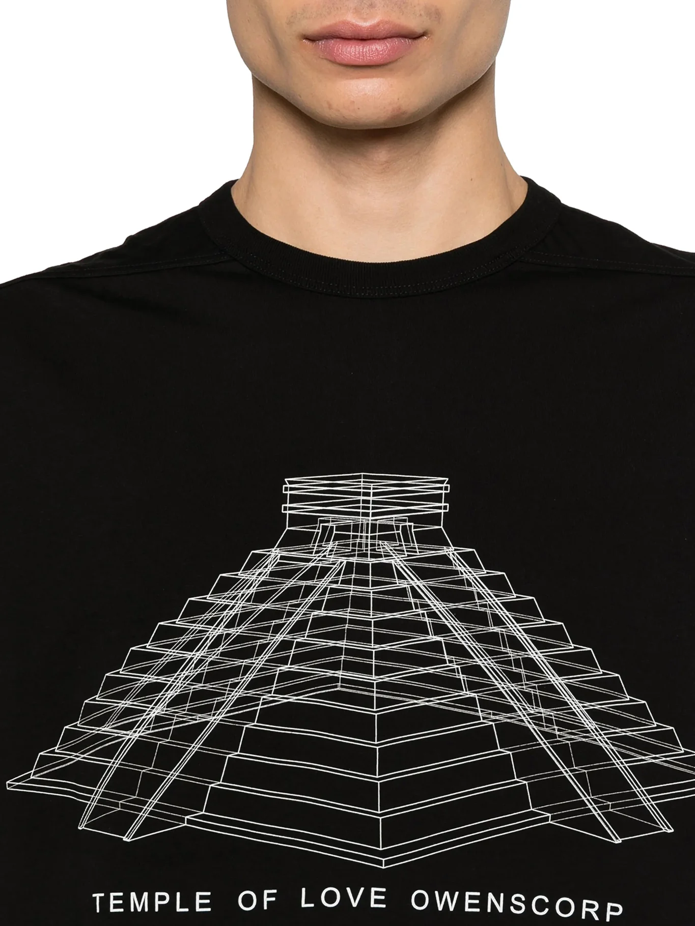 BRAD T CREW NECK COTTON T-SHIRT WITH PRINT - Image 5